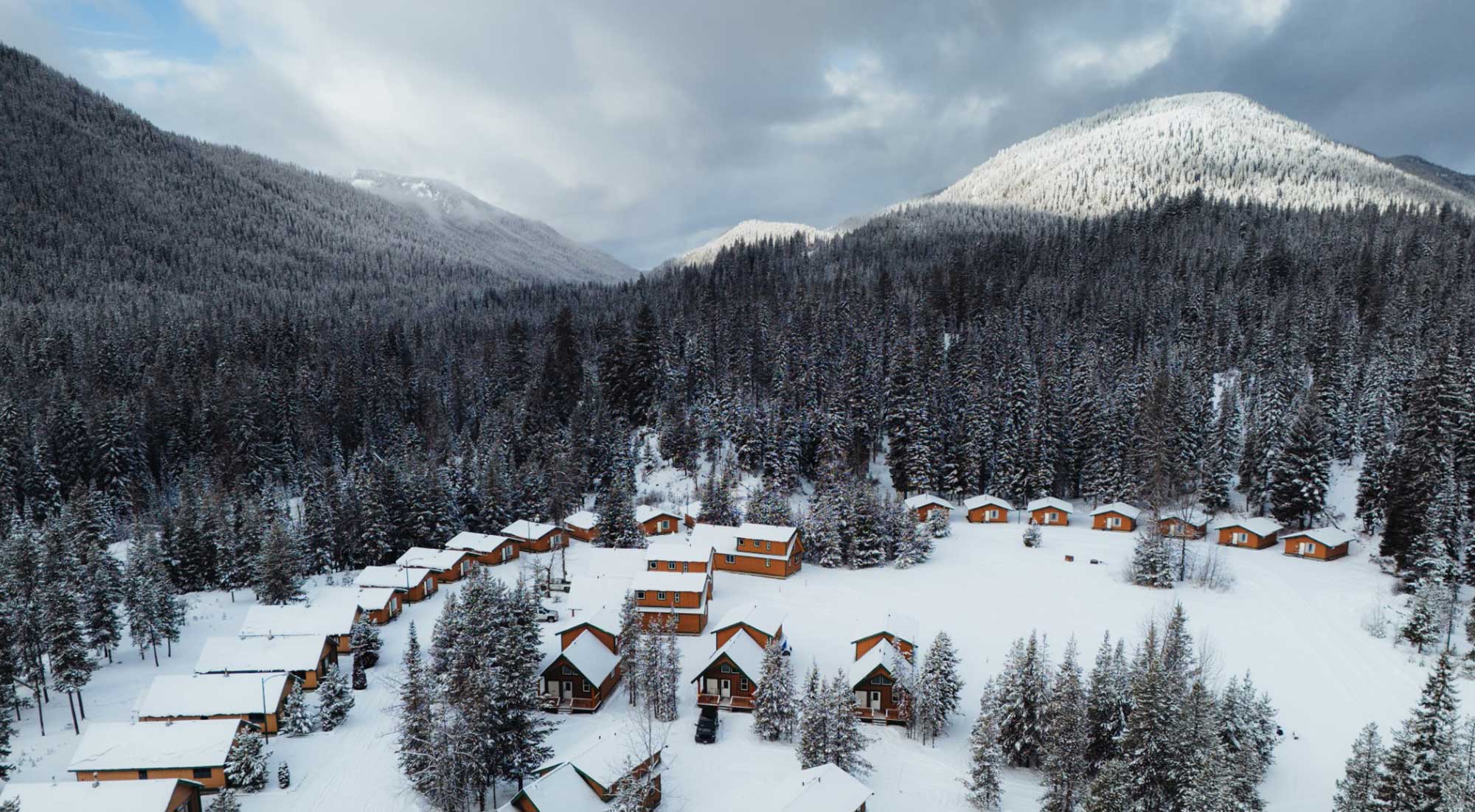 Wildflower meadows Spring - wildflower meadows