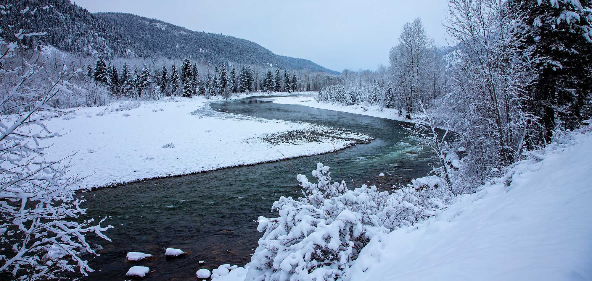 Bridge of dreams Spring - bridge of dreams