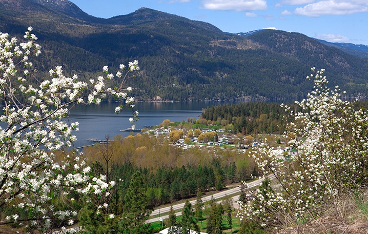 Christina Lake view and blossoms