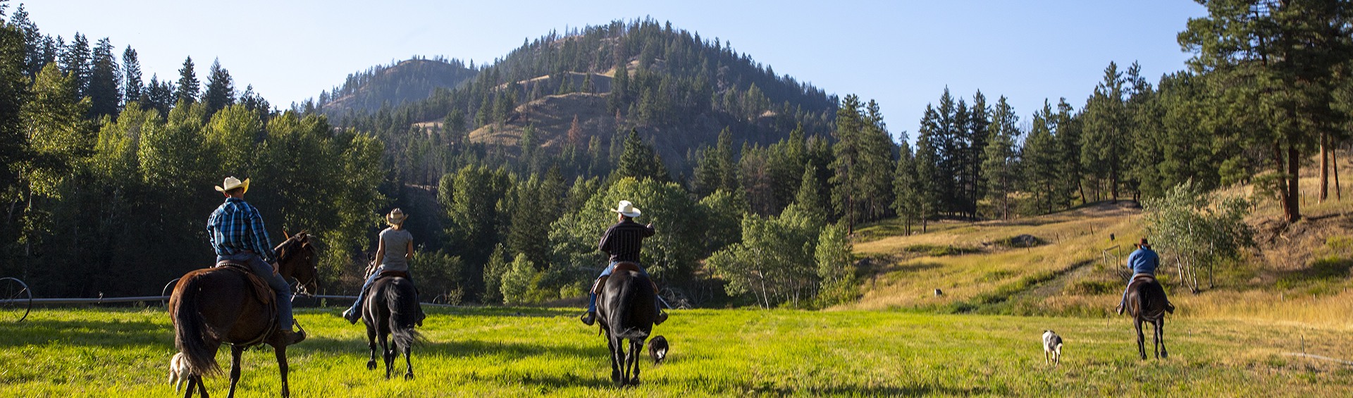 Horseback riding, near Princeton, Similkameen, summer, activities, Darren Robinson