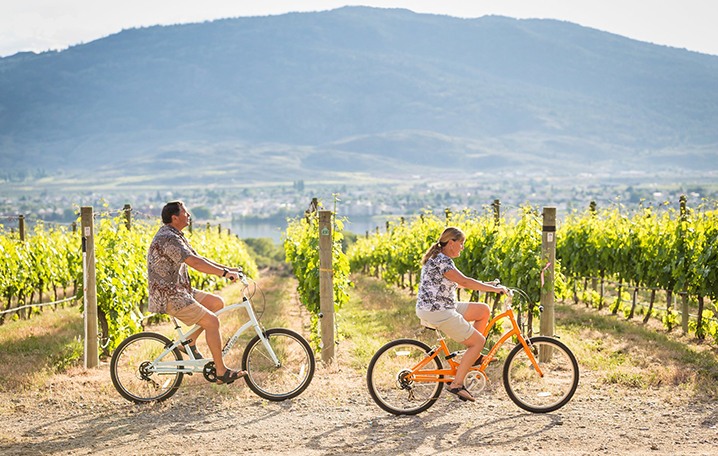 Cycling in the vineyard