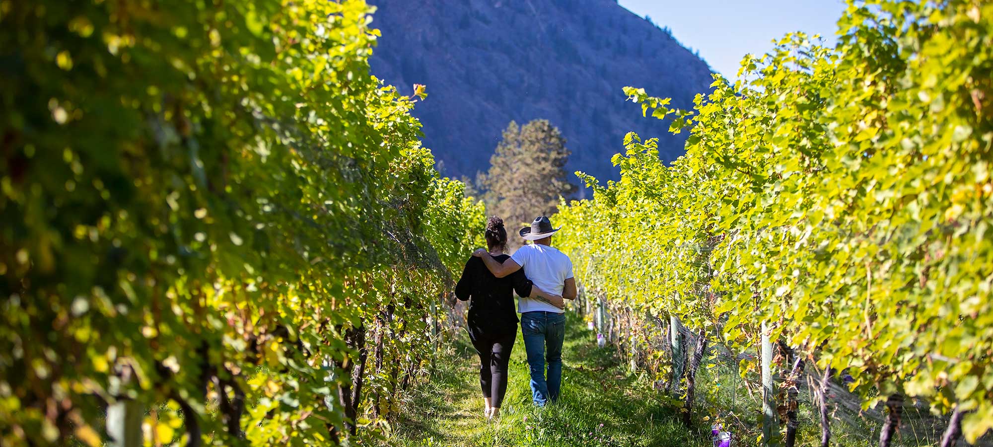 Similkameen Wine