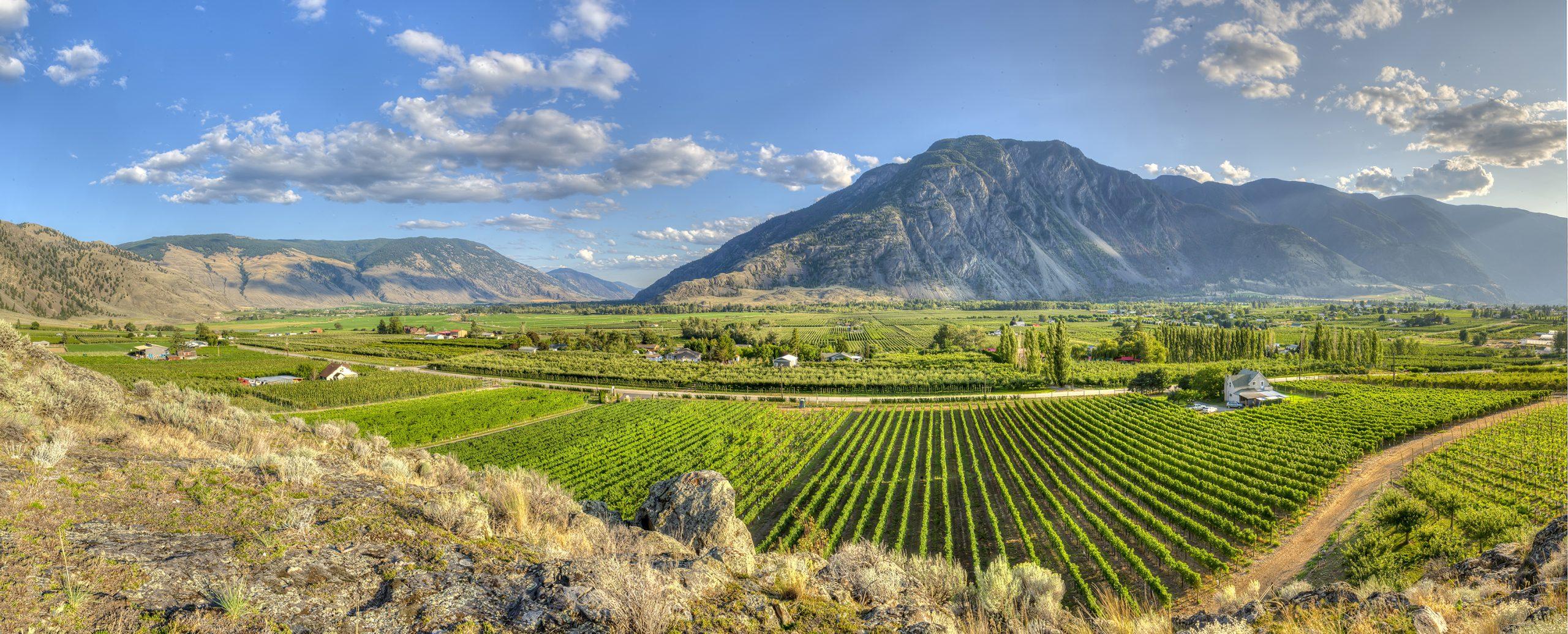 Similkameen Wine