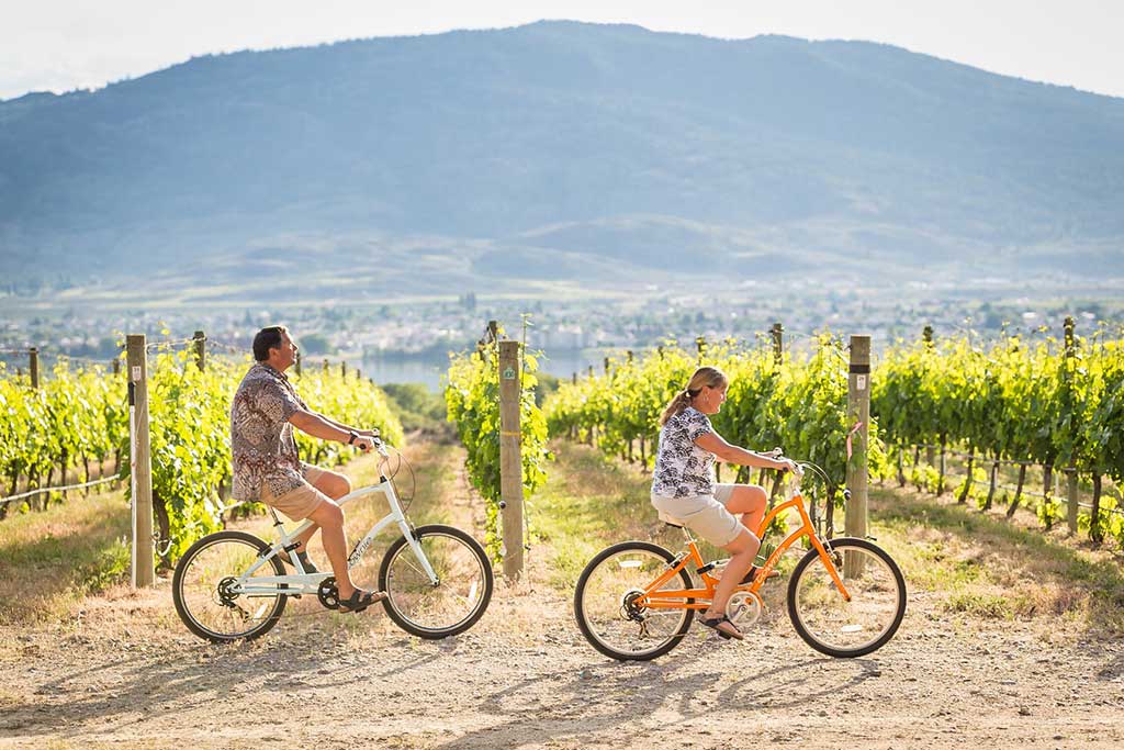 Cycling in a vineyard Osoyoos
