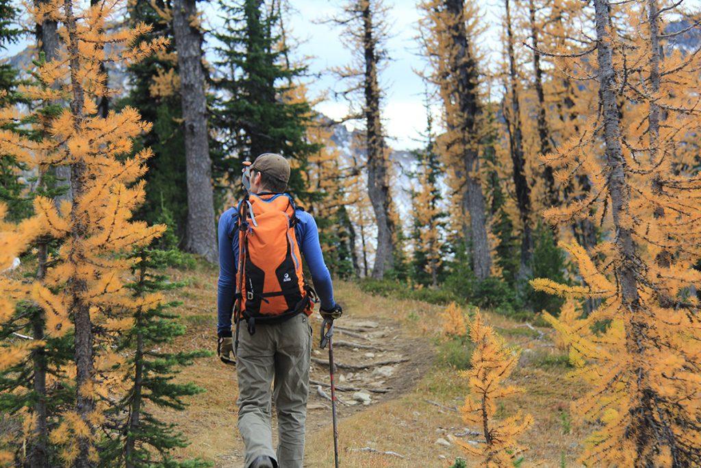 Fall colours hiking