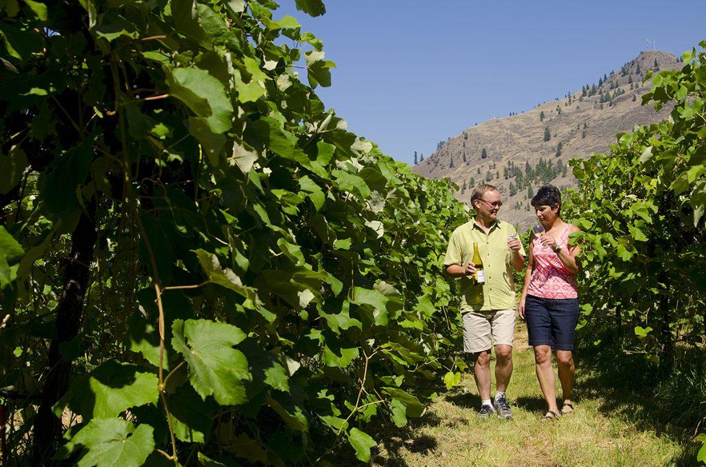 Robin Ridge Winery, Keremeos, Similkameen, summer, activities, Darren Robinson